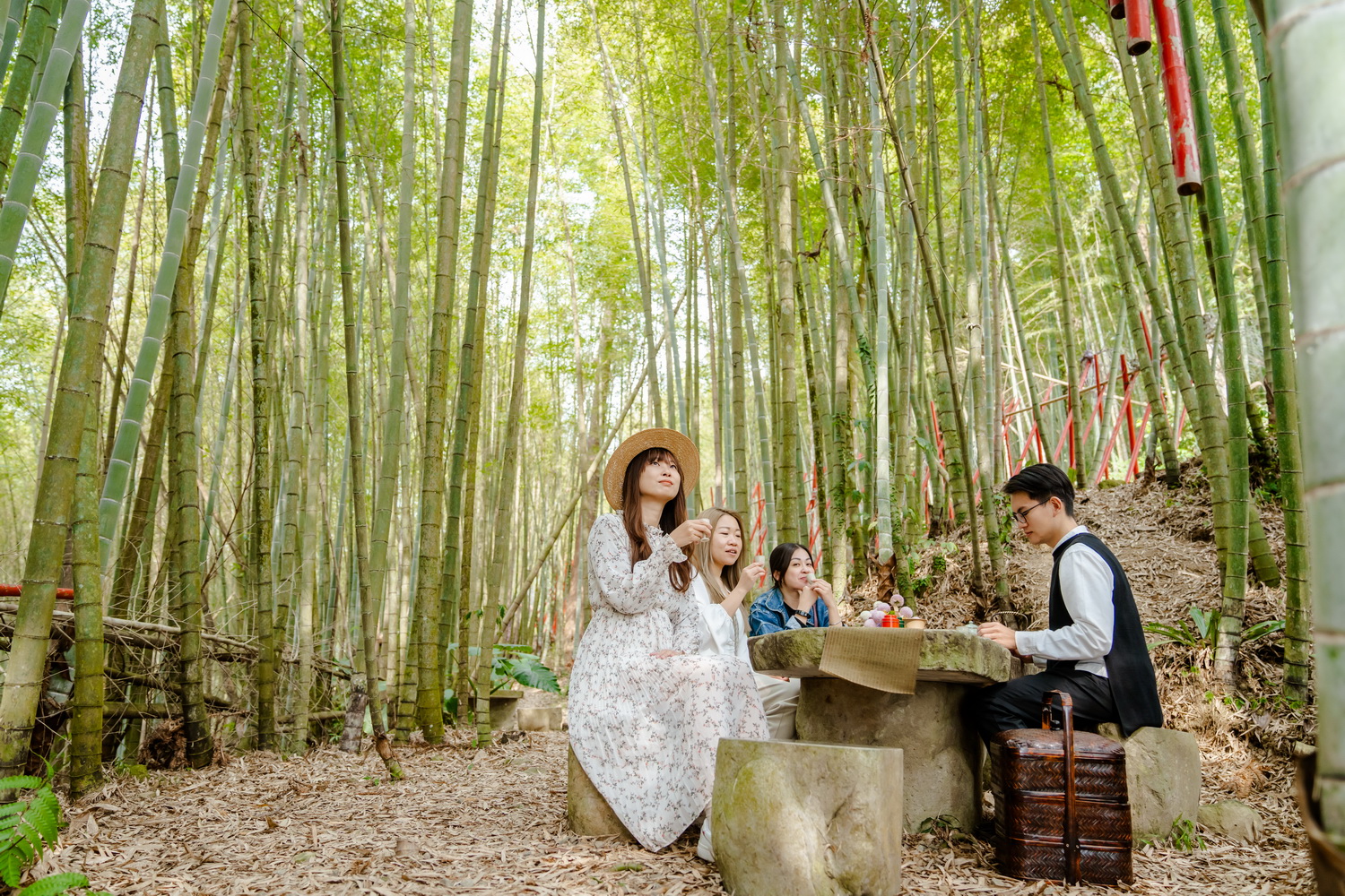 雲端茶香·嘉義162x166深度二日遊
