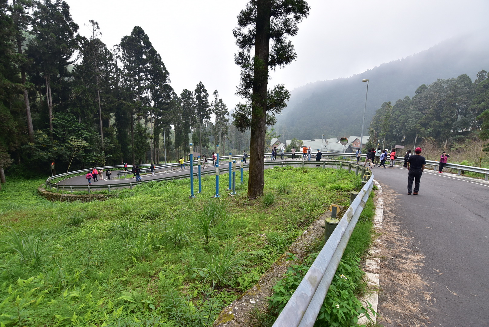 【山中秘境 】小巴輕旅行 特富野步道+德恩亞納 ( 台版合掌村 ) 一日遊