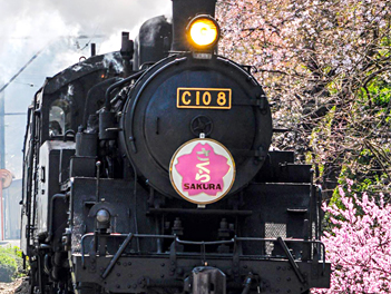 【悠閒時光】名古屋濱名湖、浪漫花見溫泉５日（日本平纜車、大井川鐵道列車、修禪寺～竹林小徑、駿河灣渡輪、掛川花鳥園）