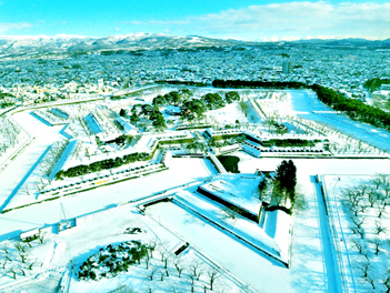 【元氣日本】雪地超值精選北海道溫泉五日遊（雪上活動四合一、尼克斯海洋公園、函館夜景、昭和熊牧場、小樽運河、大小沼公園）【星宇航空、台中/新千歲】