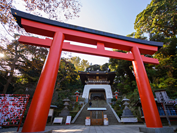 【來去東京】東京機加酒、自由行五日(亞洲航空、高雄出發 )(不含機上餐)