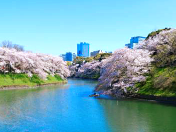 【悠閒時光】關東輕井澤櫻花夢行6日(中央阿爾卑斯駒岳空中纜車、輕井澤千住博美術館、長瀞遊船、吾妻峡鐵道自行車)