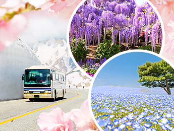 【元氣日本】東京立山黑部、雪の大谷、紫藤花物語漫遊輕井澤、上高地富士芝櫻六日遊【長榮航空、東京進出】