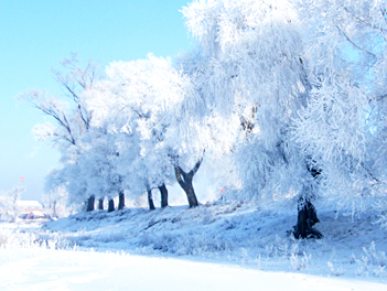【遊遍中國自由行】東北哈爾濱冰雪節、太陽島、冰雪大世界八日（無購物、無自費）【北京轉機】