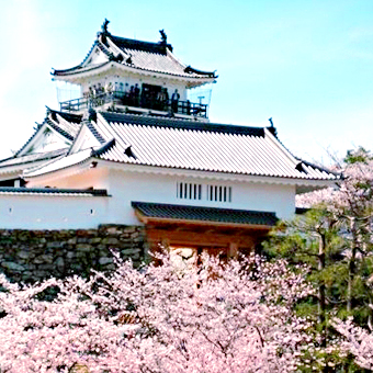 靜岡縣 / 濱松城