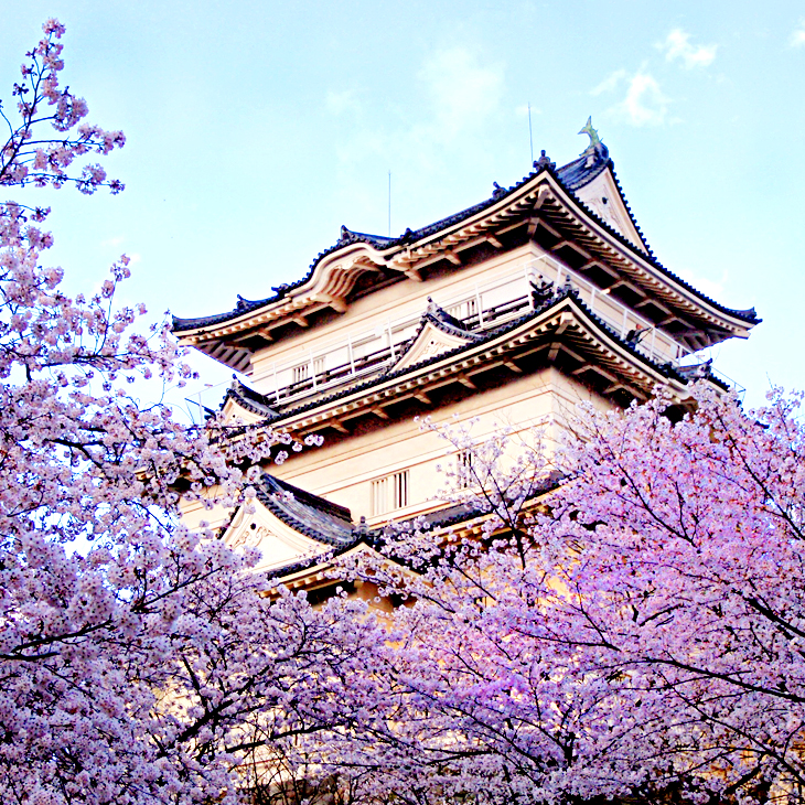 神奈川縣 / 小田原城址公園