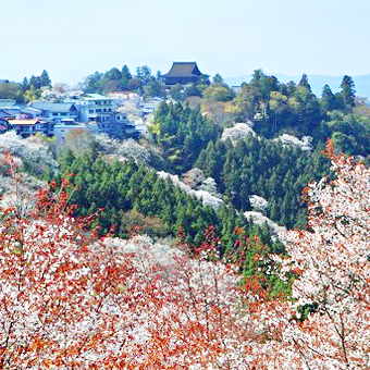 吉野山