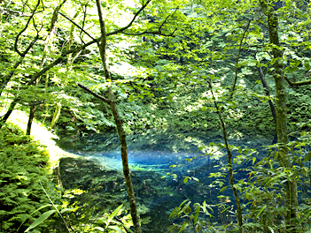 【悠閒時光】東北日本海與森林的對白8日(三大峽谷清津峽、日本海鐵道、白神山地世界自然遺產健行)