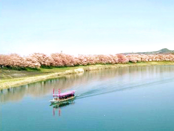 【東北歐嗨喲】東北櫻花百選名所、浪漫會津鐵道、藏王纜車溫泉美食五日【星宇航空、仙台進出】