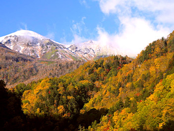 【元氣日本】楓紅北國北海道五日遊~入住洲際、大雪山黑岳纜車、硫磺山、阿寒湖愛努文化村、三大蟹吃到飽【星宇航空、台中/新千歲】