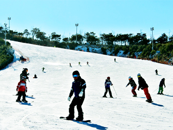 【超級愛釜山跨年滑雪去】（美食版）伊甸園滑雪場（含雪具）、加耶主題公園+塗鴉秀、韓服體驗、汗蒸幕、長腳蟹吃到飽五天【德威、真航、桃園出發】