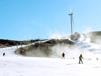 2026春節【昇級版真情釜山滑雪去】伊甸園滑雪場、釜山樂天世界、韓式汗蒸幕體驗、海岸列車五天《不走人蔘+保肝》（全程升等五花酒店）【真航空、桃園出發】