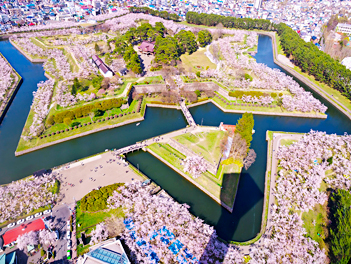 【北海道歐嗨喲】北海道登別函館溫泉櫻花之旅、洞爺湖花火節、三大蟹和牛涮涮鍋、溫泉五日(北海道神宮、函館朝市、大通公園、羊蹄山名水公園)【星宇航空、千歲進出】JX102