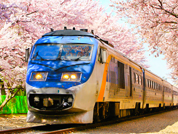 【釜山鎮海賞櫻住韓屋】鎮海軍港節、星光櫻花節、慶州博物館、海岸觀光列車、韓國傳統茶道 & 韓服體驗、傳統韓式汗蒸幕五天(獨家入住慶州韓屋1晚)《保證不走人蔘+保肝店》【真航空、桃園直飛】