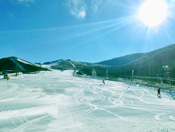 春節限定【元氣日本】星寰福雪九州五日遊(九重森林滑雪場、鬼山地獄、柳川遊船、湯布院金鱗湖、萌熊電車、燒肉放題、三大蟹吃到飽)【星宇航空.台中/熊本】
