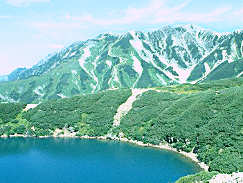 【精緻日本旅遊】東京輕井澤、富士山、川越小江戶五日（Laview新型列車體驗、角川武藏野、鳴澤冰穴、淺草觀音寺、螃蟹吃到飽）【星宇航空、酷航空】