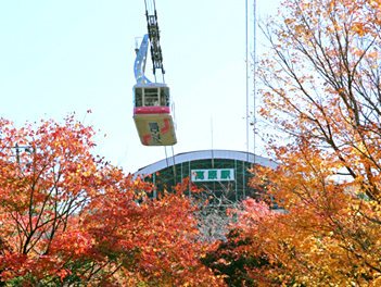 【精緻日本旅遊】九州福岡紅葉楓旅、纜車遊船、三大蟹溫泉精選五日（紅葉八幡宮、大濠公園、柳川遊船、湯布院、九重夢大吊橋、熊本城）（午去晚回）【星宇、長榮、桃園/福岡】