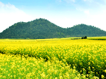 【遊遍中國自由行】油菜花季、興義八卦田、羅平金雞峰、世界驚奇花江峽谷大橋、世界遺產－綠寶石荔波小七孔、西江苗寨、黃果樹瀑布九日（安排三排椅VIP車）【南方航空、桃園出發】