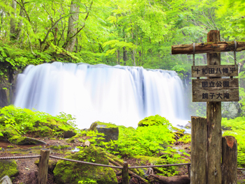 【東北歐嗨喲】夏綠東北~奧入瀨溪清流散策、秋田內陸鐵道山林旅情、弘前城五日遊【星宇航空、仙台進出】
