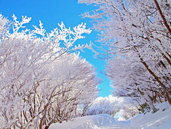【精緻日本旅遊】大阪三都巡禮、夢幻樹冰玩雪、輕鬆休閒五日（御在所岳纜車、平等院、奈良鹿公園、門真OUTLET、嵐山渡月橋、清水寺）【泰越捷航空．桃園/關西】