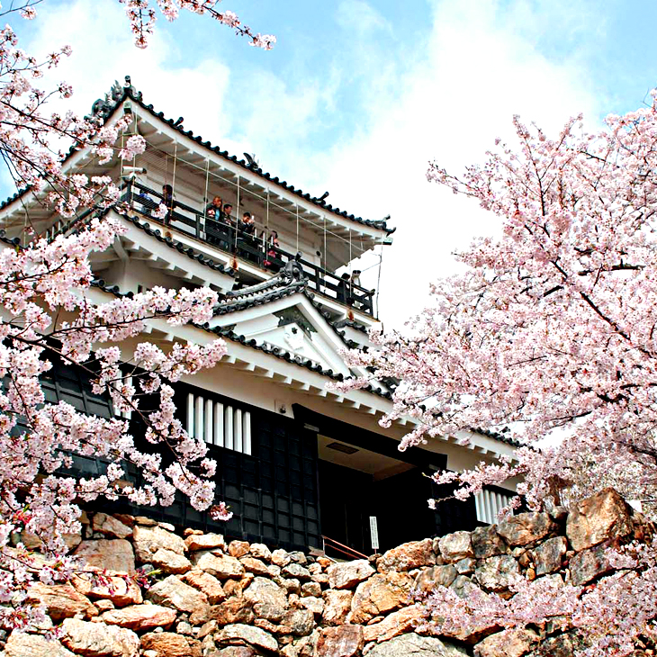 🌸 JP｜日本
