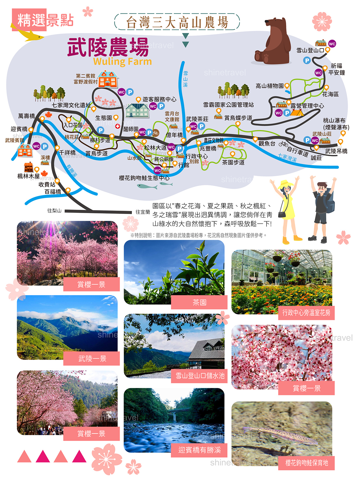 M I T Tour 武陵農場 賞櫻泡湯春之饗宴三日 富丞旅行社